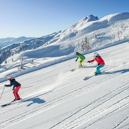 Drebes Appartamento Flachau